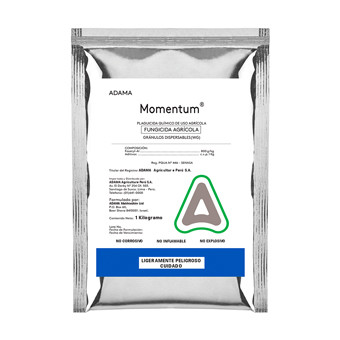 MOMENTUM 80 WG BLSA X 1 KG